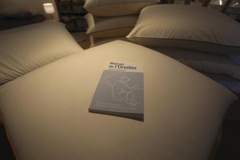 Quatre dates pour comprendre la success-story de Mille Oreillers &agrave; Roubaix, le sp&eacute;cialiste du confort naturel | revue de presse | Scoop.it