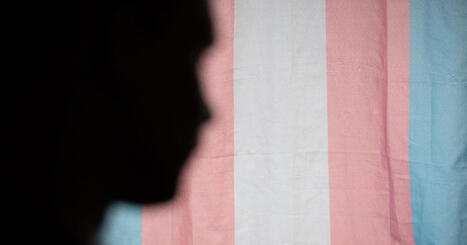 Transnuoria hoitava l&auml;&auml;k&auml;ri huolestui: Osa potilaista ei edes tied&auml;, mit&auml; hormonia on tilannut nettiklinikalta | Terveys | Yle | A1Uutiset | Scoop.it