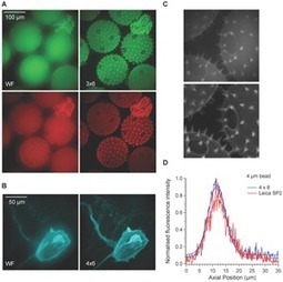 Microscope Addresses the Need for Speed | Amazing Science | Scoop.it
