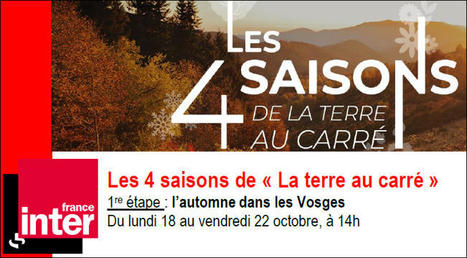 France Inter est dans la « place » | France Inter | La SELECTION du Web | CAUE des Vosges - www.caue88.com | Scoop.it