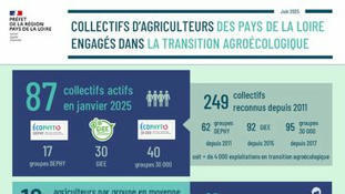 Collectifs d'agriculteurs engagés dans la transition agroécologique : l'infographie des Pays de la Loire - DRAAF Pays-de-la-Loire | Pour innover en agriculture | Scoop.it