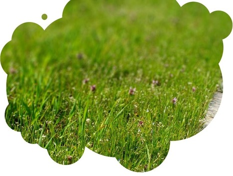 cycle COP 21 - conf&eacute;rence d&eacute;bat | Paysage - Agriculture | Scoop.it