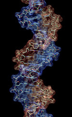 MIT management professor Tom Malone on collective intelligence and the &ldquo;genetic&rdquo; structure of groups | Augmented Collective Intelligence | Scoop.it