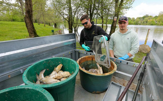 Poissons morts dans un lac des Landes : un choc thermique pourrait être la cause de cette hécatombe | Landes - Conseils municipaux & communautaires | Scoop.it