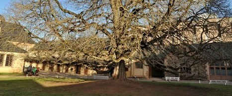 Haras de Rodez :  la fin du cheval dans la ville | Cheval et Nature | Scoop.it