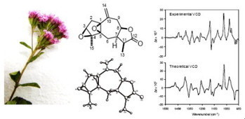An unusual diepoxyguaianolide from Stevia tomentosa | Natural Products Chemistry Breaking News | Scoop.it