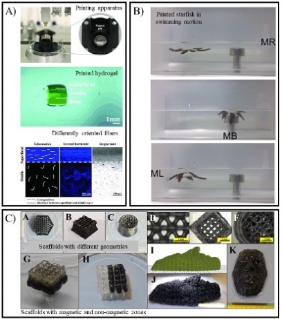 3D (Bio)printing of Magnetic Hydrogels and their Potential for Tissue Engineering Applications | iBB | Scoop.it
