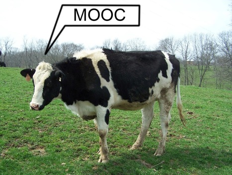 Empathy: The Big Reason College Professors Should Take A MOOC | Blended Technology and the 21st Century Classroom | Scoop.it