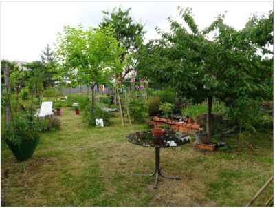 Composition des jardins et pratiques de jardinage : quels leviers pour favoriser la biodiversit&eacute; dans les jardins priv&eacute;s ? | Life Sciences Universit&eacute; Paris-Saclay | Scoop.it