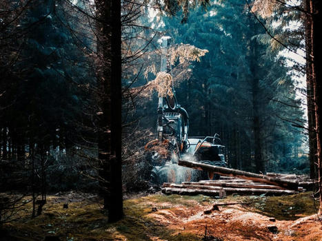 The Average Cost of Tree land clearing cost how much does commercial | landclearing2 | Scoop.it