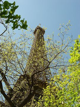 Rénovation environnementale de la tour Eiffel: du verre et du vert | SmartPlanet.fr | Eco-conception | Scoop.it