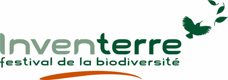 Festival de la biodiversité | Variétés entomologiques | Scoop.it