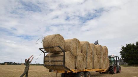 L’Assemblée nationale veut réparer la démocratie des coopératives agricoles | Actualité Bétail | Scoop.it