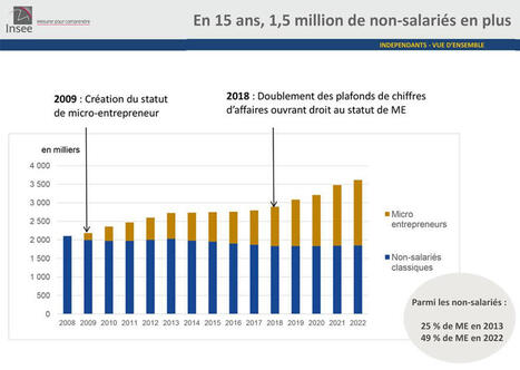 L’Insee se penche sur l’emploi et les revenus des indépendants | Revue de presse économique du Sud Touraine | Scoop.it