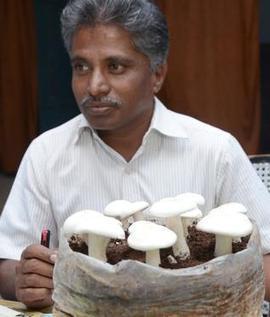 Scope of mushroom production yet to be mushroomed fully - The Hindu | The Asian Food Gazette. | Scoop.it
