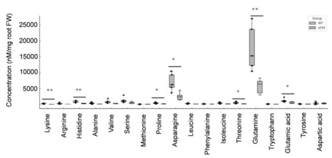 The Arabidopsis UMAMIT30 transporter contributes to amino acid root exudation | brvp | RMH | Scoop.it