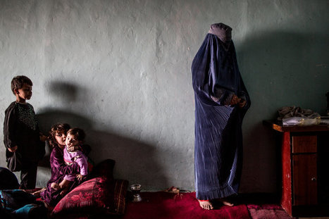 An Afghan City’s Economic Success Extends to Its Sex Trade | Voices in the Feminine - Digital Delights | Scoop.it