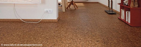 Le li&egrave;ge en rev&ecirc;tement de sol &ndash; ETI Construction | Eco-conception | Scoop.it