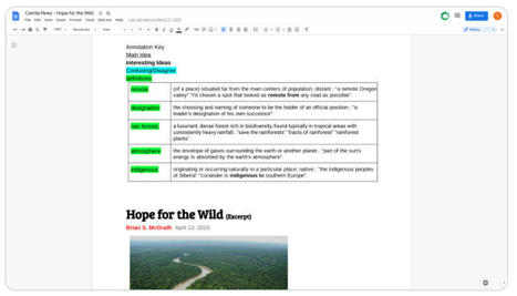 10 Lessons To Teach Using Google Docs | Help and Support everybody around the world | Scoop.it