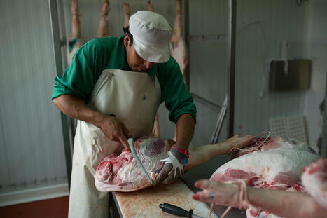 La Chine prolonge son enquête antidumping sur le porc européen - Euractiv.fr | Agriculture en Pays de la Loire | Scoop.it