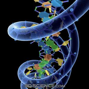 Correcting faulty DNA: stronger bodies, smarter minds, longer lives | Longevity science | Scoop.it