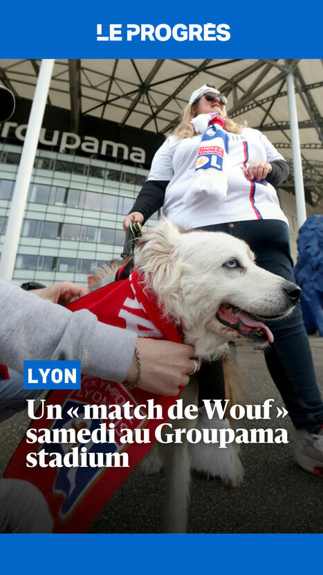 Des chiens dans un stade : une première en France  | 7 - Fan Experience | Scoop.it