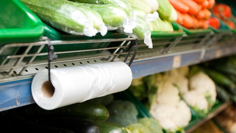Lawmakers debate controversial ban on common store items: 'Restore the authority' | Industry 411 - Waste Management | Scoop.it