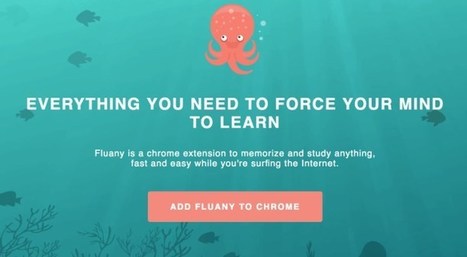 Fluany. Apprendre et mémoriser pendant que vous surfez sur le web | Revolution in Education | Scoop.it