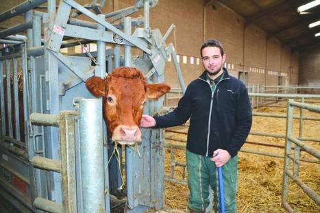 Un syst&egrave;me de contention pour manipuler les animaux tout seul, rapidement et en toute s&eacute;curit&eacute; - Le Paysan Tarnais | Pour innover en agriculture | Scoop.it