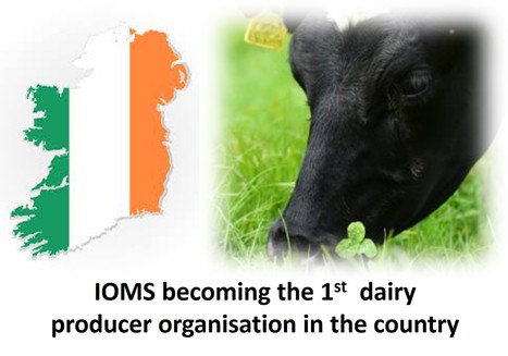 Irlande : Les producteurs de lait bio fondent la 1ère OP du pays | Lait de Normandie... et d'ailleurs | Scoop.it