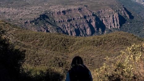 Scientists search for survivors after the Thomas fire scorches a condor sanctuary | Coastal Restoration | Scoop.it