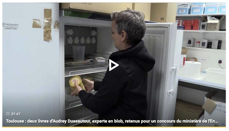 Le monde infecté par un champignon parasite en 2026 : le roman scientifique d’Audrey Dussutour inspiré de la série "The Last of Us" | Revue de presse | Scoop.it