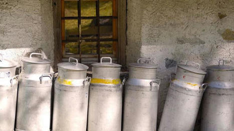Les cours des produits laitiers industriels augmentent | Economie de l'Elevage | Scoop.it