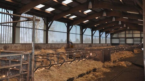 Prospective de l'Union europ&eacute;enne pour la production de viande bovine d'ici 2035 | Economie de l'Elevage | Scoop.it