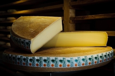 Hausse des productions laitières en Bourgogne-Franche-Comté | Lait de Normandie... et d'ailleurs | Scoop.it