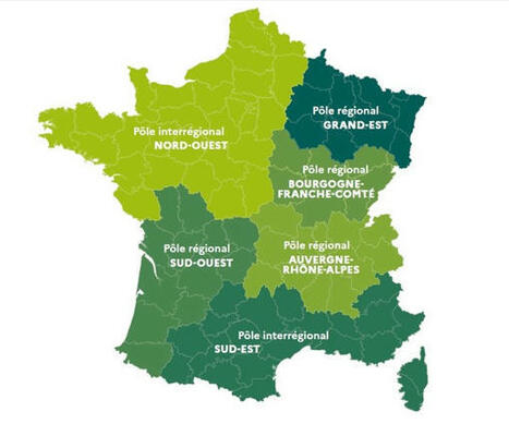 La santé des forêts dans votre région | Elevage et environnement | Scoop.it