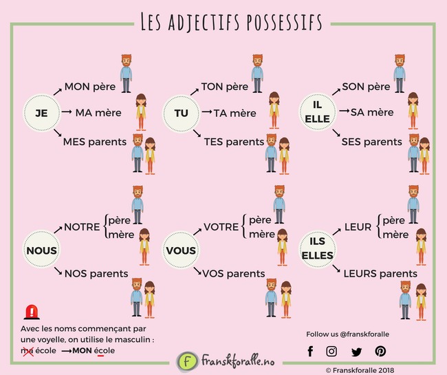 Les adjectifs possessifs | POURQUOI PAS... EN FRANÇAIS ? | Scoop.it