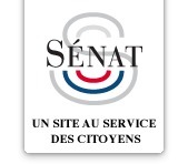 Protocole sanitaire des fêtes foraines - Sénat | Veille juridique du CDG13 | Scoop.it