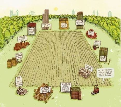 Projet 2000m2 : comment bien nourrir la population mondiale ! | Veille territoriale AURH | Scoop.it