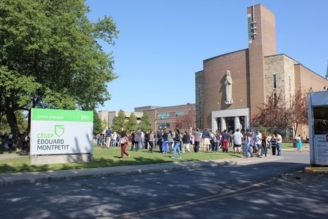 Aide aux étudiants | Revue de presse - Fédération des cégeps | Scoop.it