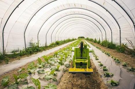 Quand les robots boostent l'agriculture durable | Questions de développement ... | Scoop.it