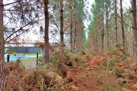 Strat&eacute;gies de pr&eacute;vention face aux risques li&eacute;s aux feux de for&ecirc;t dans les Landes de Gascogne : repenser le r&ocirc;le de l&rsquo;am&eacute;nagement du territoire&nbsp; | Notre revue de presse | Scoop.it