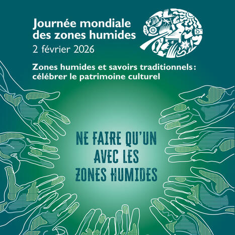 Journ&eacute;e mondiale des zones humides 2026 | Biodiversit&eacute; | Scoop.it