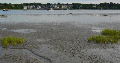 Chiffrer l'impact du r&eacute;chauffement climatique sur la ressource en eau &agrave; l'&eacute;chelle d'un bassin - Actu-environnement | Pour innover en agriculture | Scoop.it