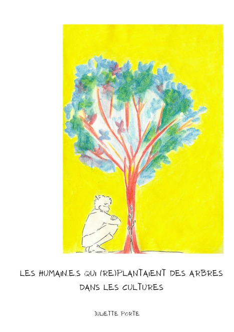 Agroforesterie en Bande Dessinée : projet de thèse de sociologie | TRANSITION AGROECOLOGIQUE : PRATIQUES ET POLITIQUES AGRICOLES | Scoop.it