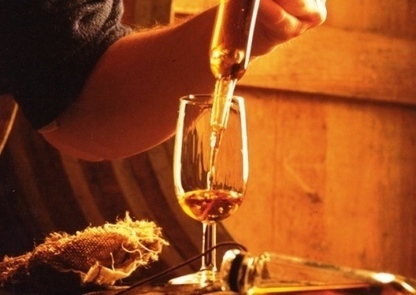 France’s top 10 food & wine tours | The Cognac and its vineyards | Scoop.it