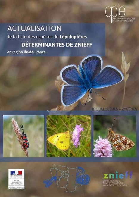 Liste des habitats et espèces déterminant·es de ZNIEFF actualisée en Île-de-France (1/3) : les Lépidoptères | Insect Archive | Scoop.it