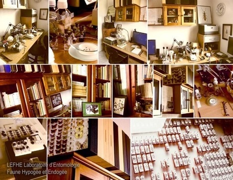 Interview de Christophe Avon - Entomologiste | EntomoScience | Scoop.it