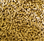 The triple crown of biomass | Timberland Investment | Scoop.it