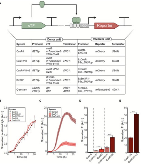 Expanding the Yeast MoClo Toolkit: gene expression control parts for Saccharomyces cerevisiae tested in industrially relevant conditions | sbio | RMH | Scoop.it